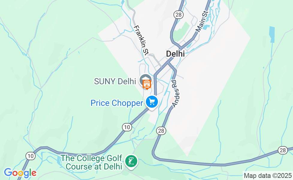 Mappa di Delhi. Cliccare sulla mappa per attivarne le funzioni google static map