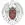 Complutense University of Madrid