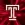 Temple University