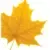 Wilfrid Laurier University logo