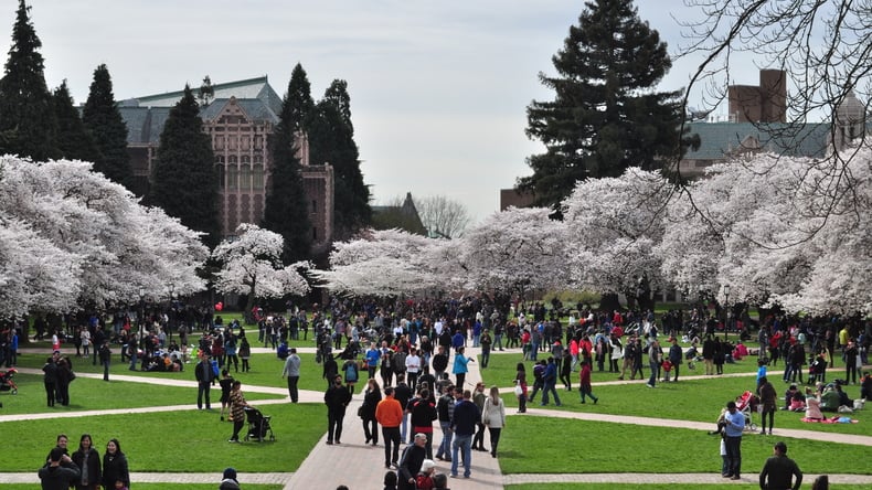 51 rankings of University of Washington & 4071 student reviews 2022